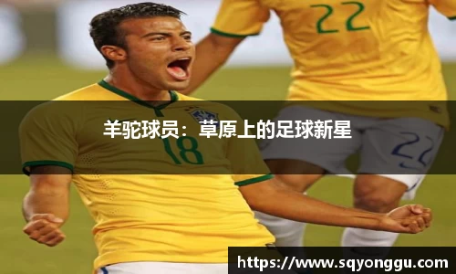 羊驼球员：草原上的足球新星